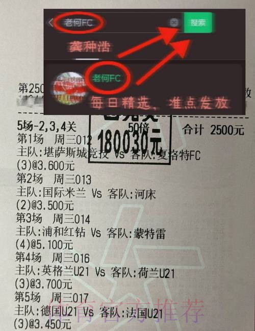解析世界杯投注金额趋势与影响因素