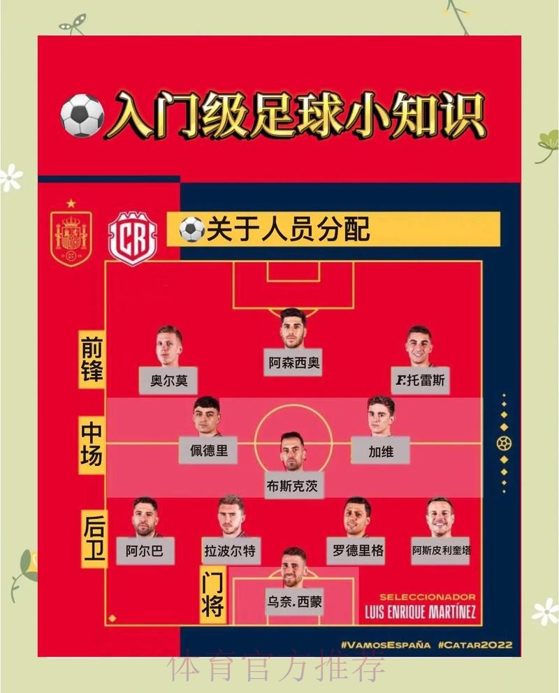 深入解析与推荐：世界杯赛事预测指南